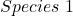 Species \ 1