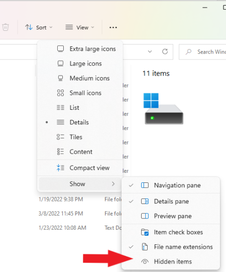 Windows 11 File Explorer, select View, click Show > Hidden items