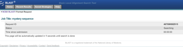 Screenshot BLAST running status page