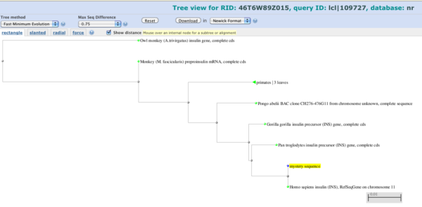 Screenshot of distance tree made from BLAST aligned sequences.