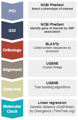 Essential genes project roadmap