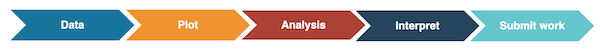 Molecular clock workflow: data > plot > analysis > interpret > submit