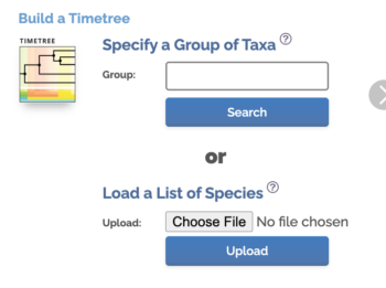 Screenshot timetree.org