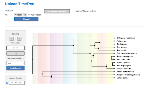 Screenshot timetree.org results