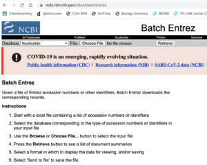 Screenshot of Batch Entrez homepage