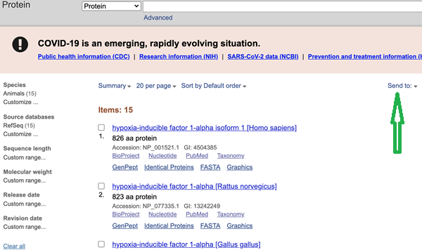 Figure 4. Screenshot web page of results listing 15 sequences by title.