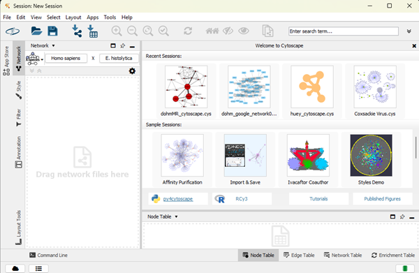 Screenshot of Cytoscape session work area