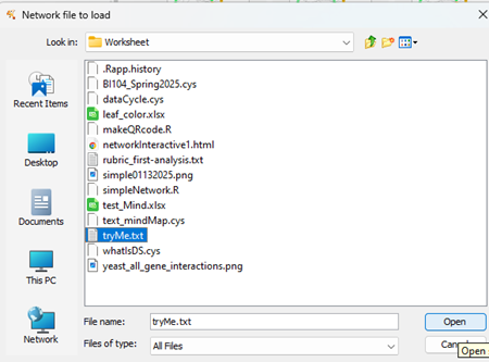 Screenshot Cytoscape (desktop) Network File import browse for file popup menu