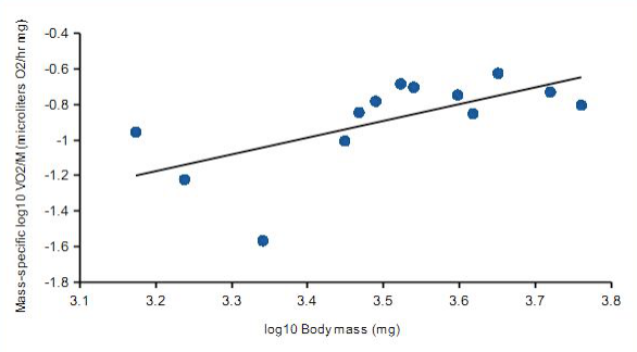 Student paper, figure 2