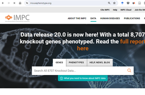 Screenshot of homepage for IMPC