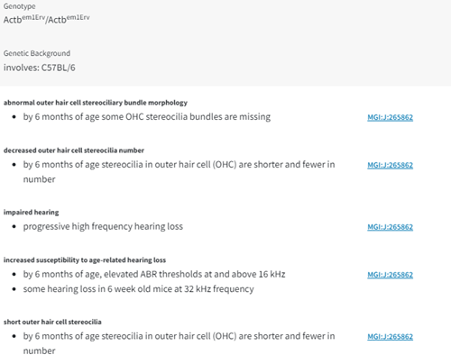 Screenshot hearing/vestibular/ear phenotype descriptions.