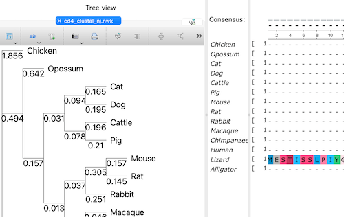 Screenshot UGENE with both alignment and tree in same, crowded view.