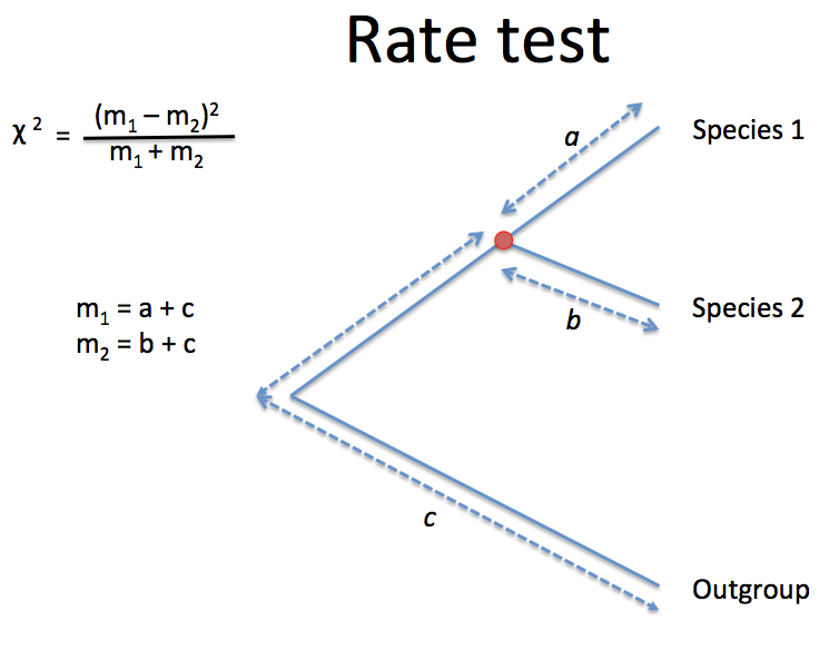 Tajima's rate test